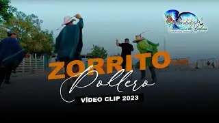 Zorrito Pollero - Esplendidos de Salvia - Video Clip Oficial 2023