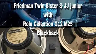 Friedman Twin Sister & JJ Junior with Rola Celestion G12 M 25 Blackback
