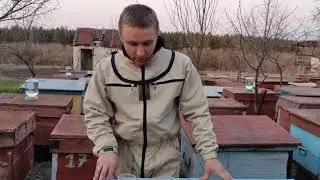 Як годувати бджіл? Цукровий та медовий сироп. Для чого годувати бджіл?