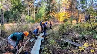 Field Notes Friday: Zebedee Bog Bridge Project