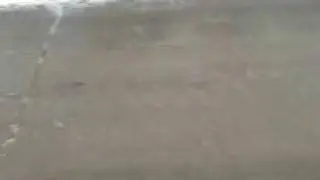 Unimog vs. Schneemann