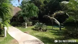 Мексика 2020  Плайя дель Кармен . Viva wyndham maya