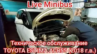 Maintenance of Toyota Estim ACR55 2018 (Engine, Variator, and Gearbox Oil Change).