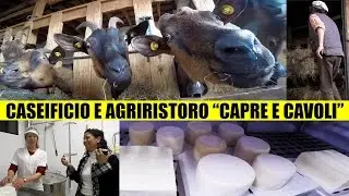 Allevamento, Caseificio e Agriristoro Capre e Cavoli