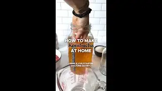 How to make Kombucha at home! Using a live SCOBY