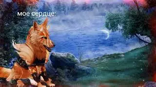 типо wcmv