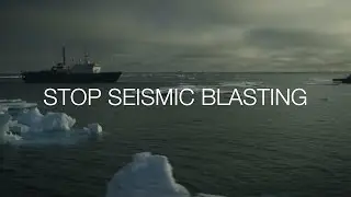 EXPOSED! Seismic blasting in the Arctic
