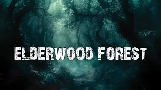 D&D, Reading, Studying Music - Journey Through the Haunting Elderwood Forest