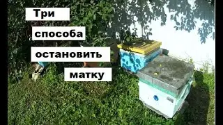 Три способа остановки матки