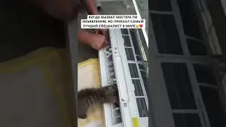 РЕМОНТ КОНДИЦИОНЕРА ПОД СТРОГИМ КОНТРОЛЕМ ГЛАВНОГО КОТО-ИНСПЕКТОРА😂🔥
