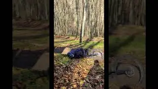 raw trail mtb