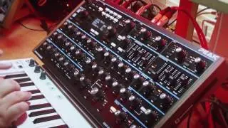 Novation PEAK - Initial few custom Patches and thoughts.