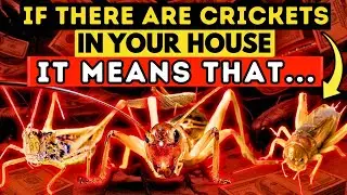 Discover the Spiritual Meaning of Crickets in Your Home. It's Amazing! 🦗🏠