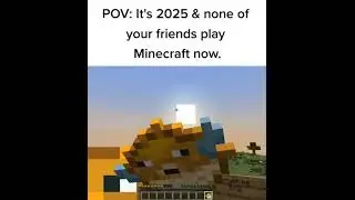 Pain💔 #minecraft #memes