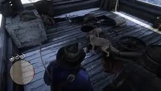 Red Dead Redemption 2 Coyot from nowhere