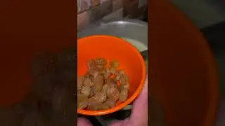 Dhruva2