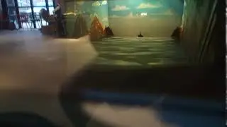 Soviet Arcade Torpille