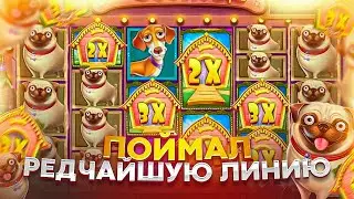 Я МИЛЛИОНЕР? Я В ШОКЕ ОТ ЗАНОСА  В THE DOG HOUSE MEGAWAYS !! ЛЕГЕНДАРНАЯ СЕССИЯ ( ЗАНОСЫ НЕДЕЛИ )
