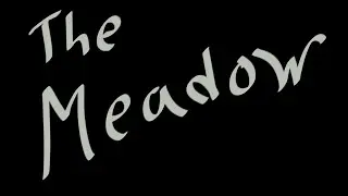 The Meadow (No Sound Yet)