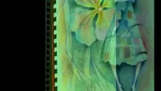 без названия