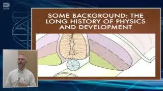 Physics, Genetic, and Investigative Reasoning in Developmental Biology - Alan Love