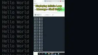 Displaying Infinite loop in Shell Script | While Loop in Bash script 