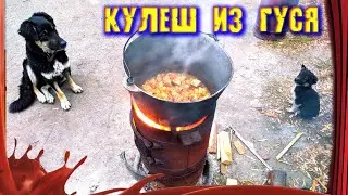 КУЛЕШ из ГУСЯ! /// В казане на костре /// Походная каша для большой компании!
