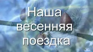 Пушкин и Беларусь