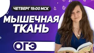 Мышечная ткань