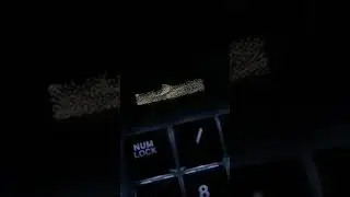 Watching the shrek movie on my keyboard