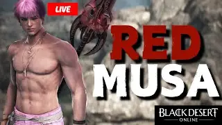 Perma Red Musa/Dosa | BDO - Guild Wars 2! | !Holy🥤!IQON🖥️|LIVE on Twitch.tv/Caarl