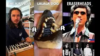 The Kiffness x Lalala Dog x Eraserheads - Lalala (With a smile mashup)