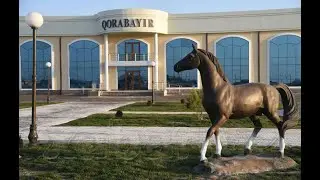 ПРЕЗИДЕНТ ташаббуси билан "КОРАБАЙИР" отлари хакида хужжатли фильм 2021