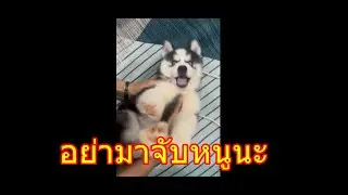 อยากเช็ดมากใช่ไหม ได้เลยจัดไห้
