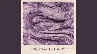 Ked Sme Boli Mali (feat. Wen)