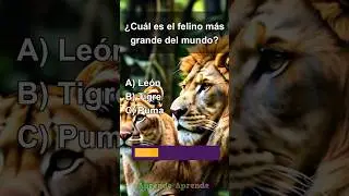 Quiz Cultura General 16 #cultura #culturageneral  #fypシ #quiz #quiztime #quizzes #trivia