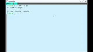 How to run Perl programs in Linux terminal | Perl programming 