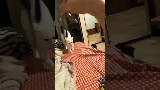 Ключи это свисток 🔑🎼🤣