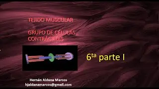 Tejido muscular sexto video parte  I de 9 videos. Hernán Aldana Marcos