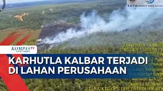Karhutla Kalbar, Disbunnak Sebut Kebakaran Terjadi di Lahan Konsesi Perusahaan