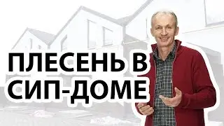 Может ли в домах из СИП-панелей появляться плесень? Есть ли плесень в доме из сип-панелей?