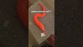 taking my worm on a string to Walmart 😨😨 #wormonastring #walmart #silly #shopping