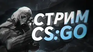 CS GO+ВЕБКА