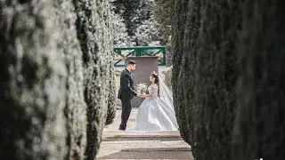 Hadil & Aussie's Dreamwedding