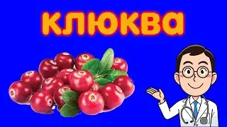 🍽 👍 9 ПРИЧИН ЕСТЬ КЛЮКВУ, ЧТОБЫ НИЧЕМ НЕ БОЛЕТЬ / ЧЕМ ПОЛЕЗНА КЛЮКВА / ПОЛЬЗА КЛЮКВЫ