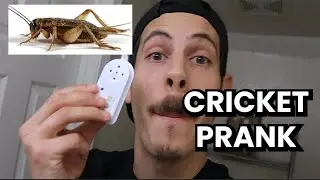 PRANK GONE WRONG (THIS WAS HILARIOUS)