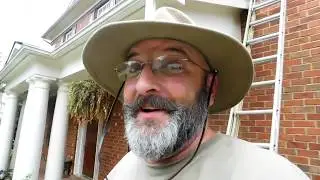 Bee Removal - Our first one ever!