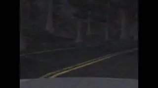 Man Caughts Fire In The Forest