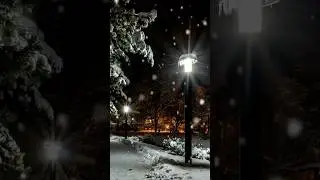 Зимним вечером!!!