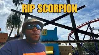 The Day After... | Busch Gardens Tampa Bay Vlog September 2024